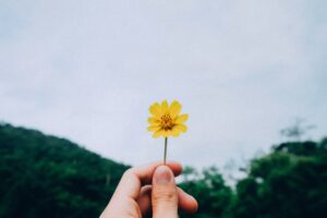 Are there any additional services or therapies provided, such as holistic approaches or alternative therapies?